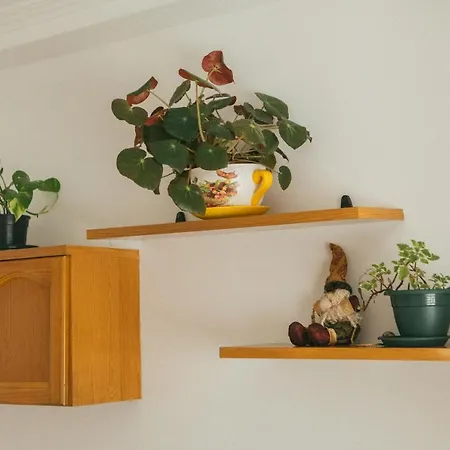 Apartment A Solaina Redondela